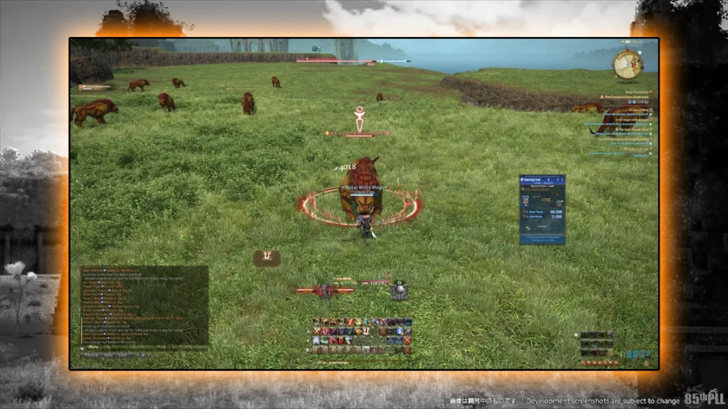 Surviving as a Tank, Healer, or DPS